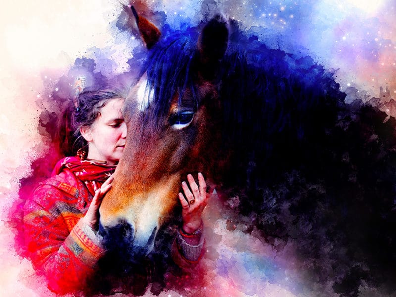 Horses and Healing